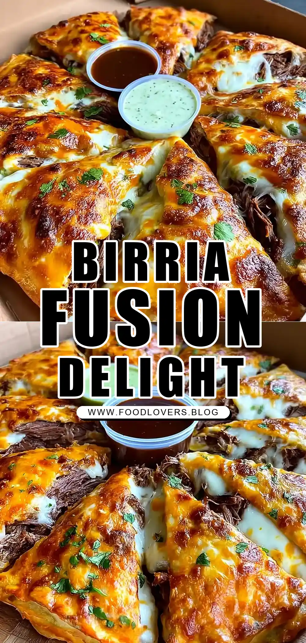 Birria Pizza