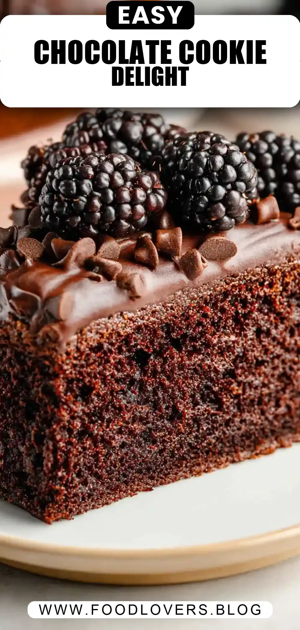 Chocolate Chip Cookie Cake